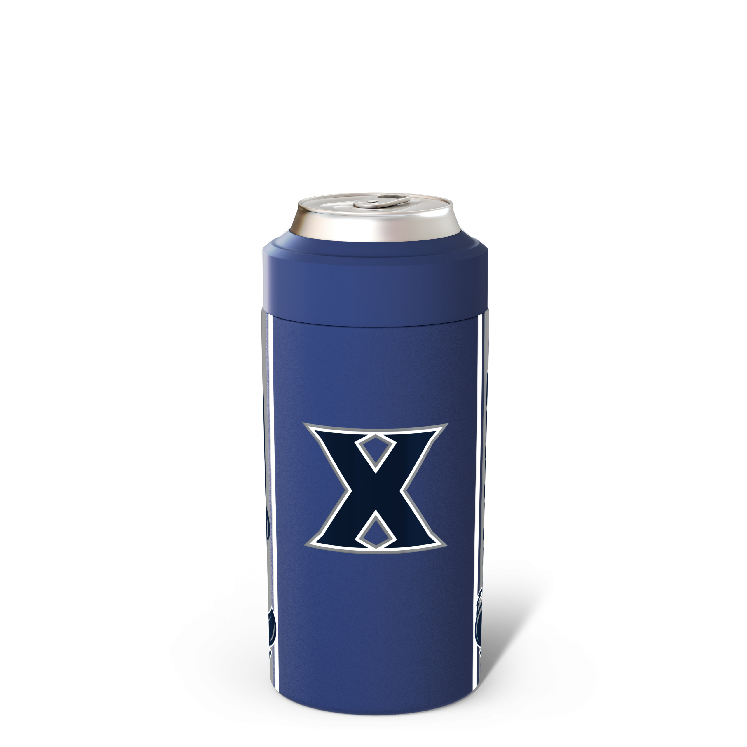 Xavier_Back.png